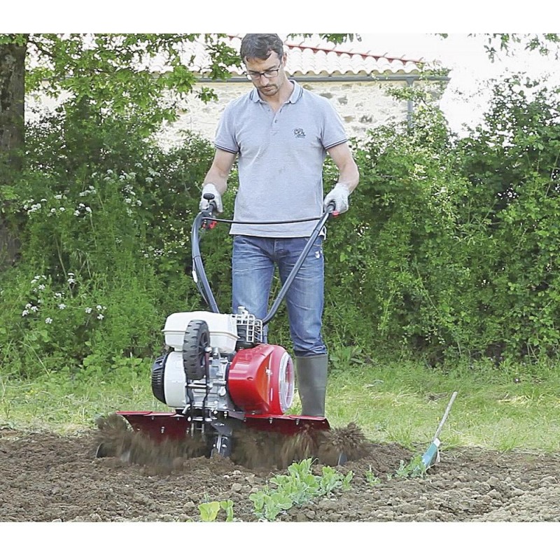 PUBERT QUATRO  JUNIOR V3 60H