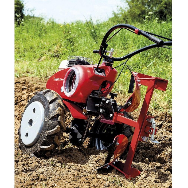 PUBERT QUATRO  JUNIOR V3 60H