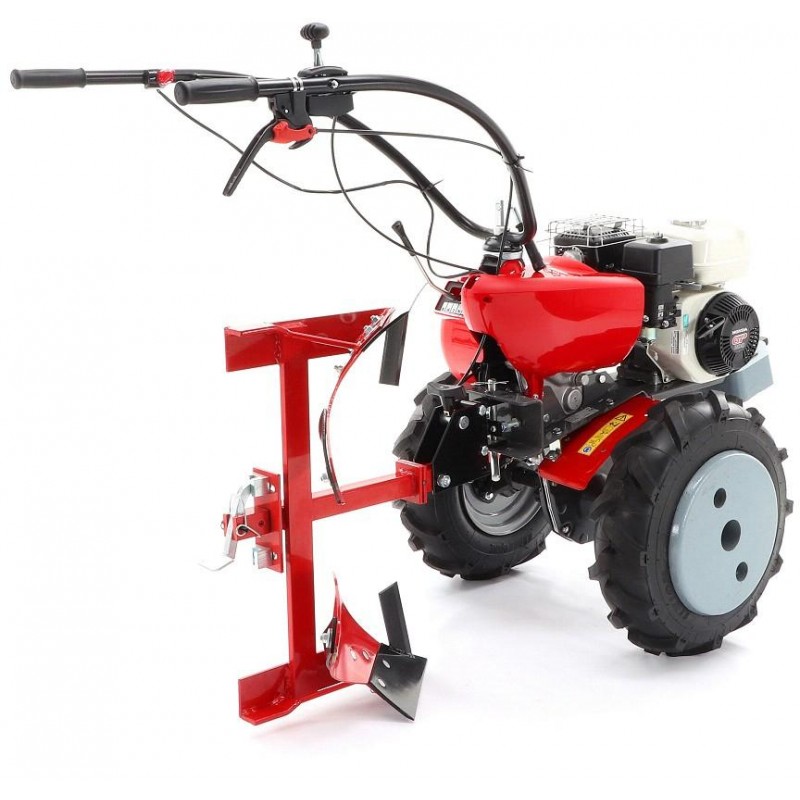 PUBERT QUATRO  JUNIOR V3 60H