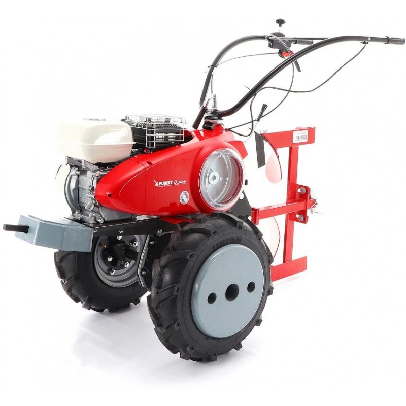 PUBERT QUATRO  JUNIOR V3 60H