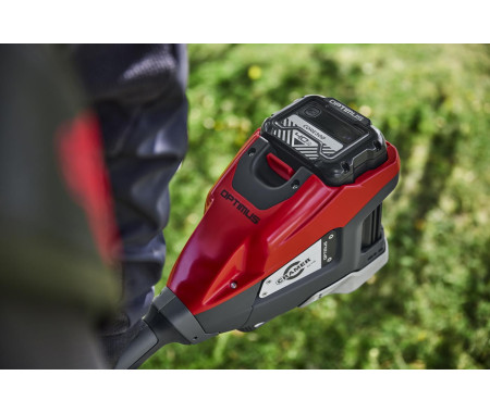 CRAMER OPTIMUS T20