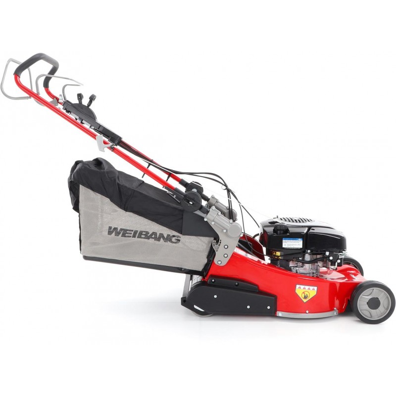 Weibang WB 486 SBV-R