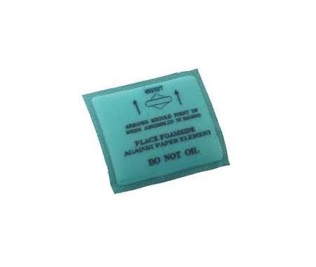 VZDUCHOVÝ FILTER BRIGGS&STRATTON QUANTUM - PRE FILTER