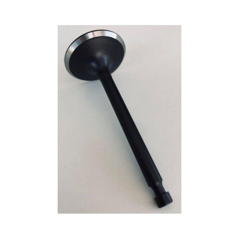 Sací ventil ZONGSHEN XP420