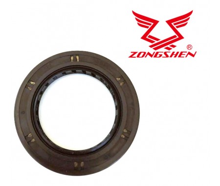 TESNIVO ZONGSHEN XP620