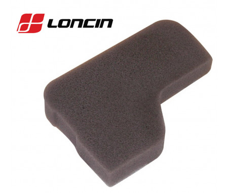 VSTUPNÝ FILTER LONCIN LC1P61FE, LC1P65FE