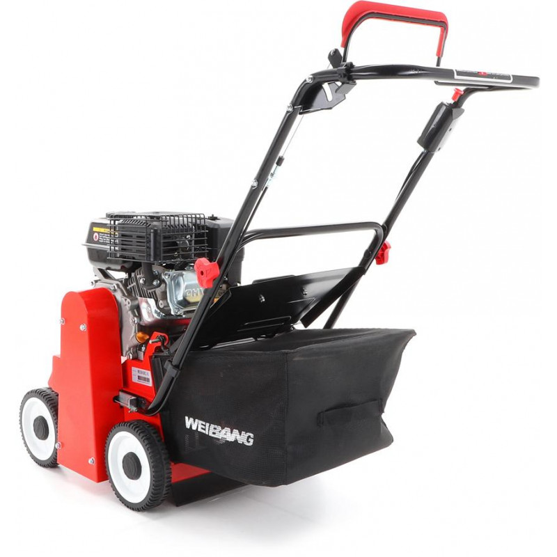 Weibang WB 384 RC
