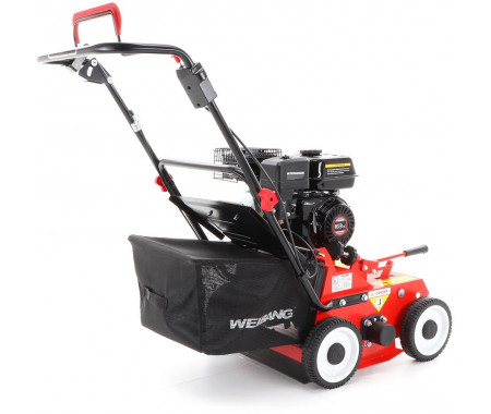 Weibang WB 384 RC