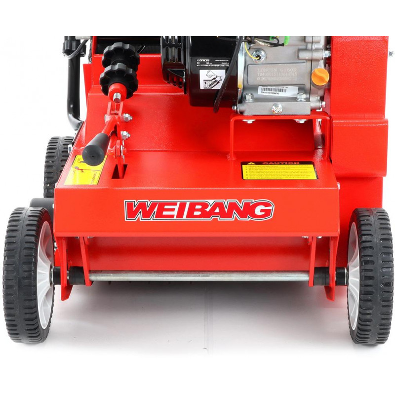 Weibang WB 384 RC