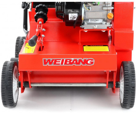 Weibang WB 384 RC