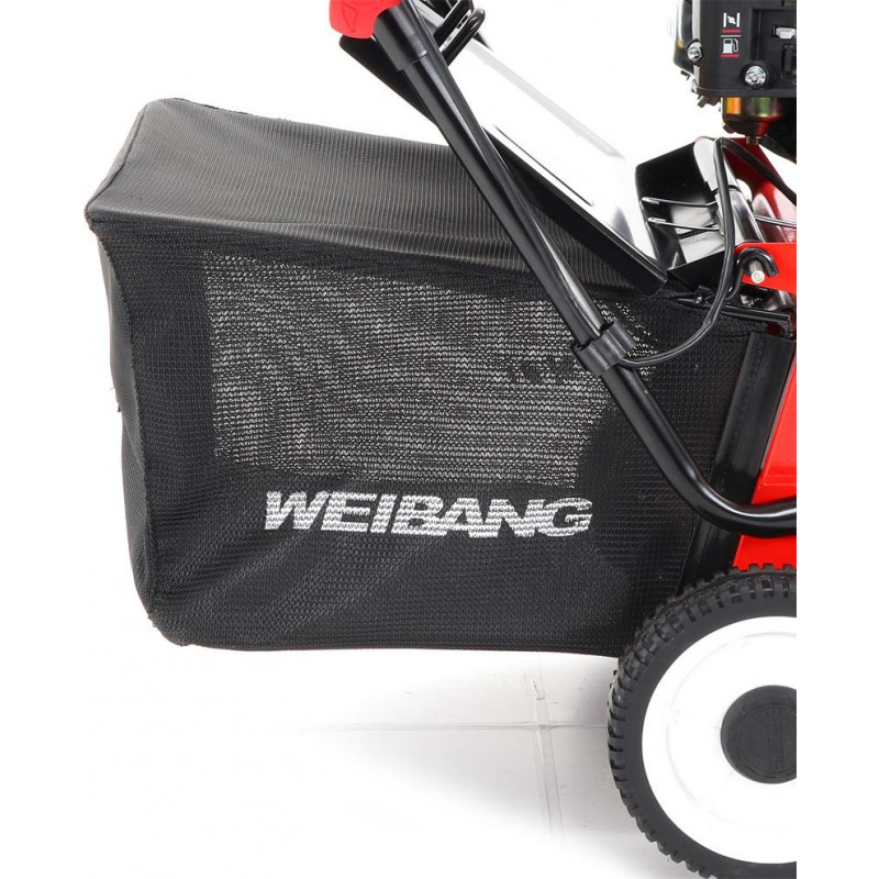 Weibang WB 384 RC