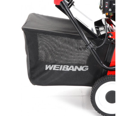 Weibang WB 384 RC