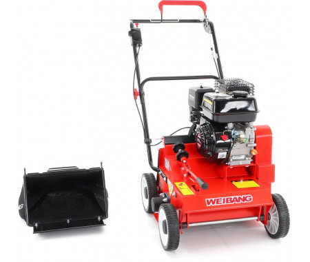 Weibang WB 384 RC