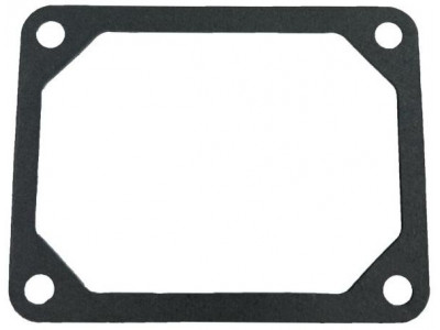 Tesnenie krytie ventilov BRIGGS&STRATTON V-TWIN