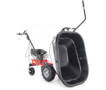 EUROSYSTEMS CARRY RATO 170