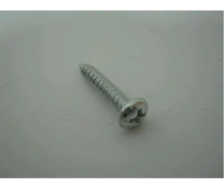 Vrut 4,2x22