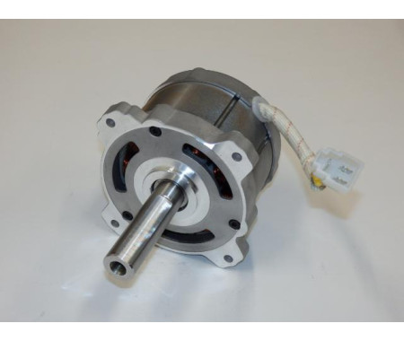 Motor 80V - 2018