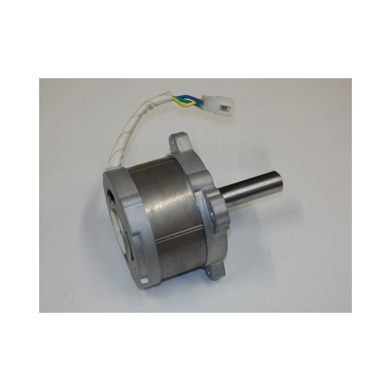 Motor 80V - 2018