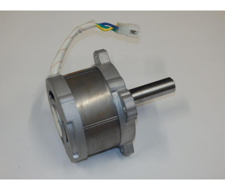 Motor 80V - 2018
