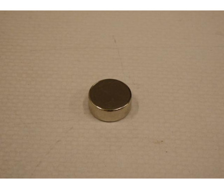 Magnet