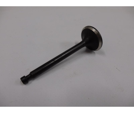 Valve - exhaust