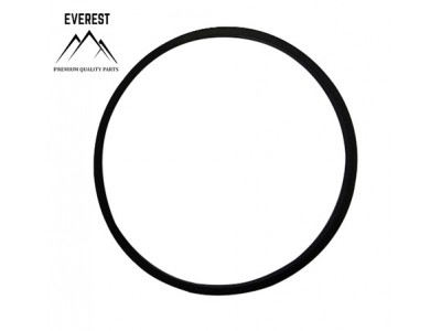 TESNENIE BRIGGS&STRATTON 693981