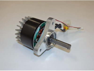 Motor