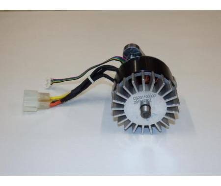 Motor
