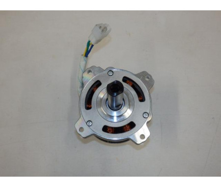 Motor 80V - 2021
