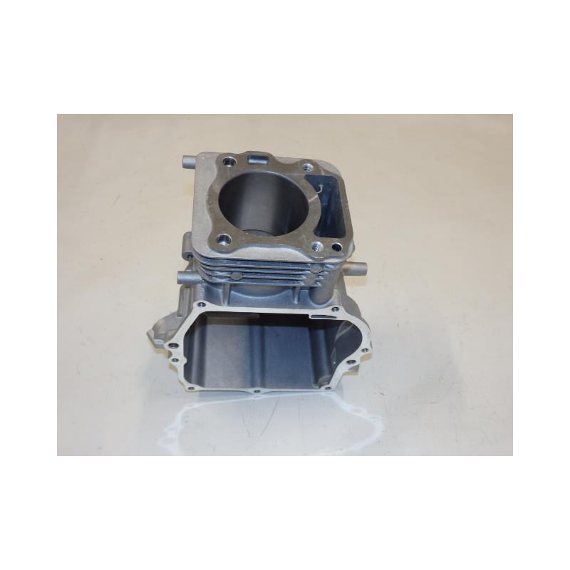 Blok motoru - 50Y7210000000