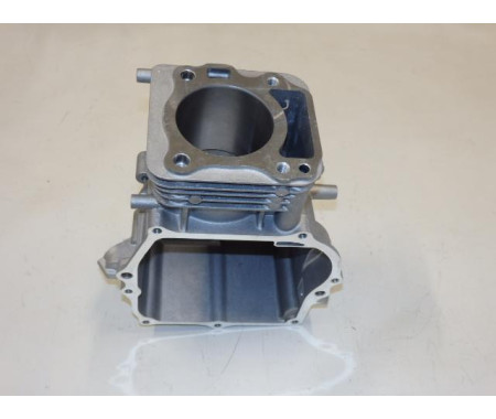 Blok motoru - 50Y7210000000