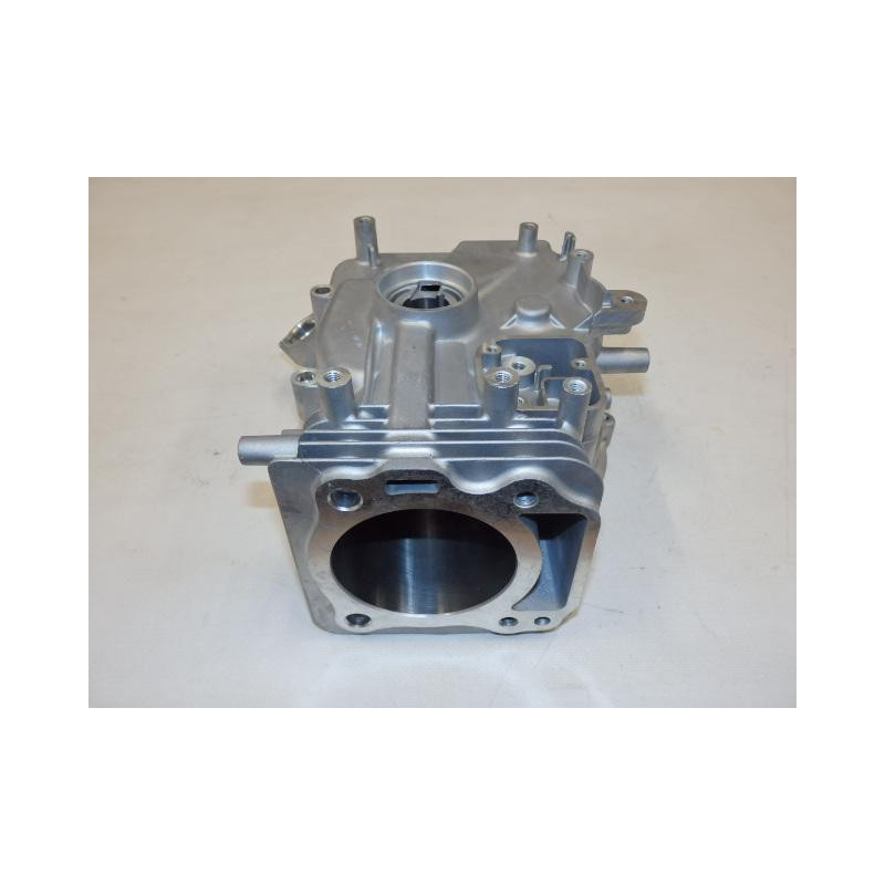 Blok motoru - 50Y8210000000