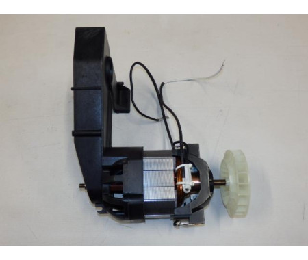 Motor od 2022