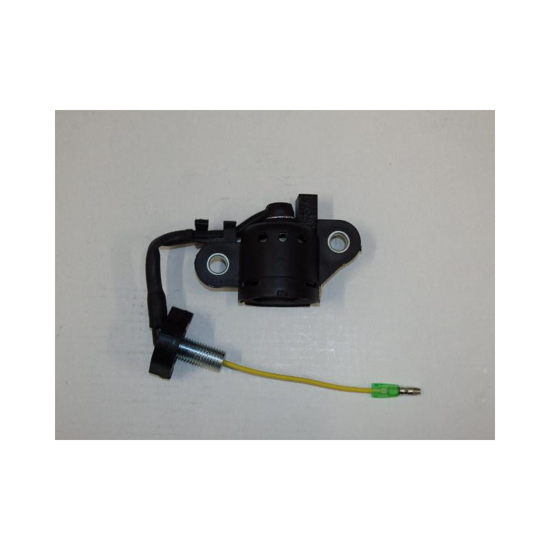 Sensor engine oil