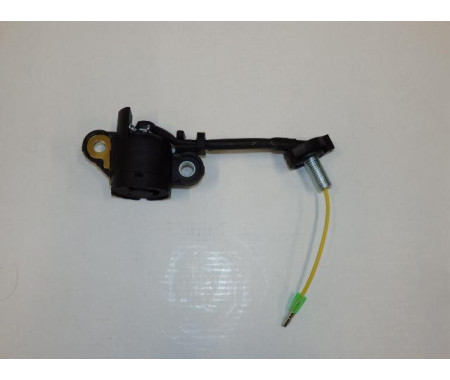Sensor engine oil