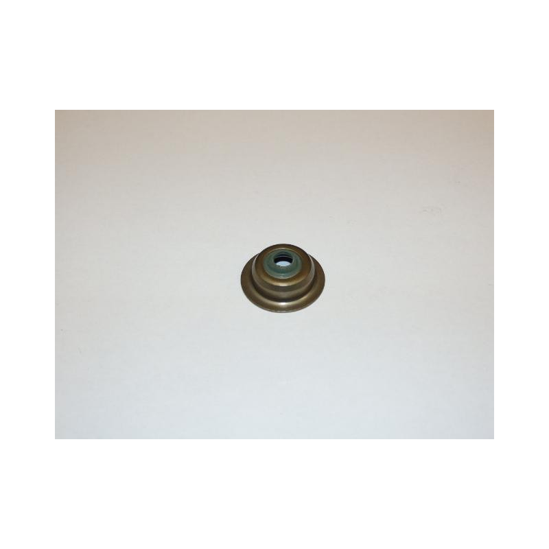 Guide seal