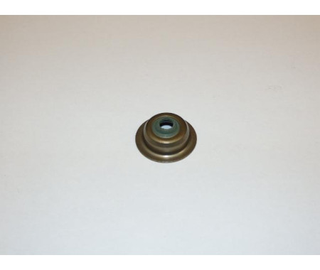 Guide seal