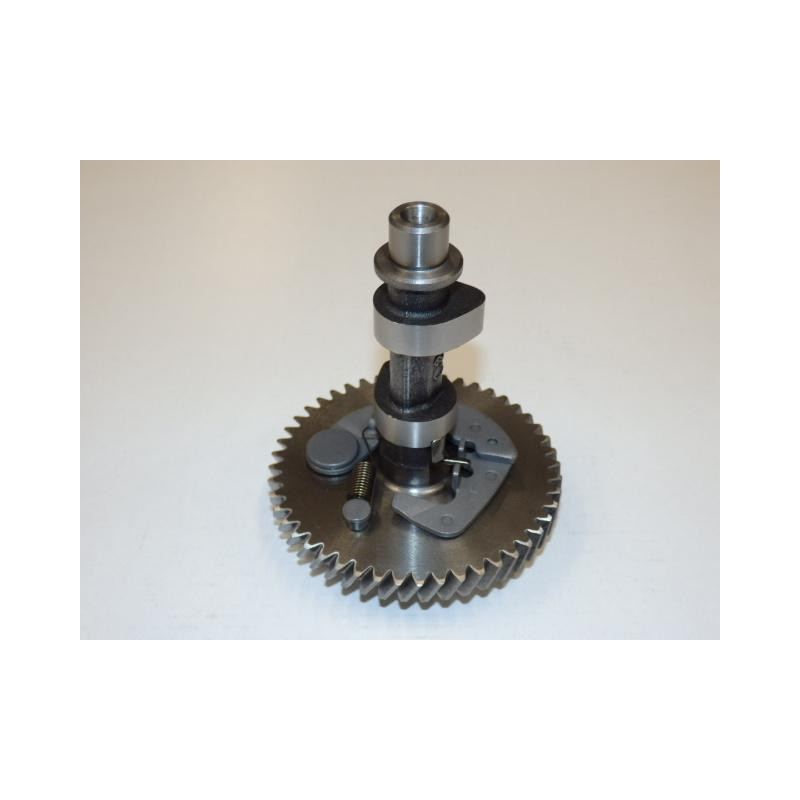 Camshaft assy
