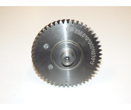 Camshaft assy