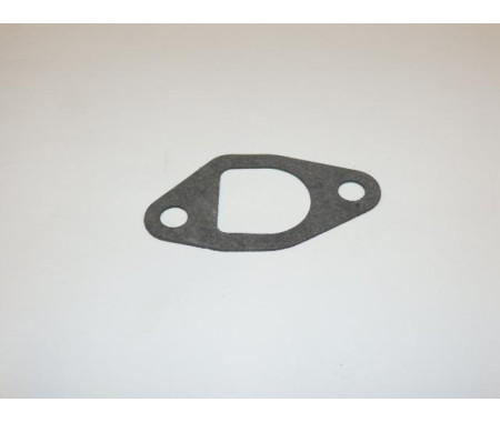 Gasket inlet