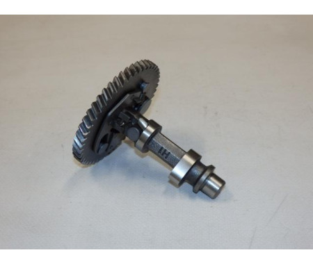 Camshaft assy