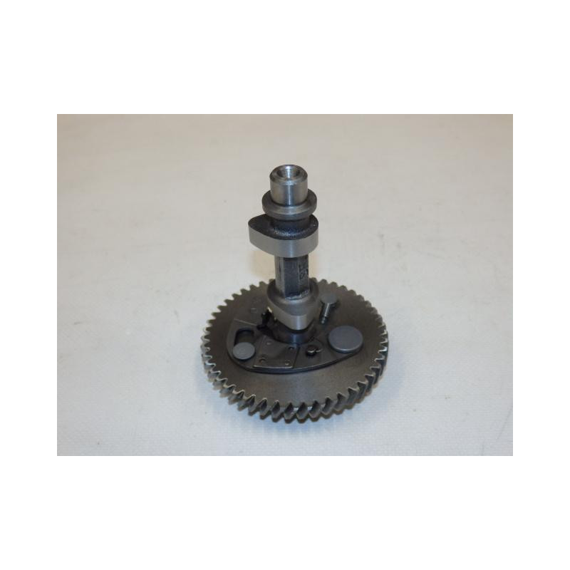 Camshaft assy