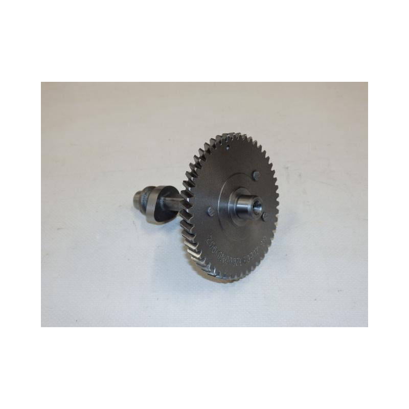Camshaft assy
