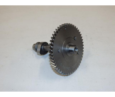 Camshaft assy