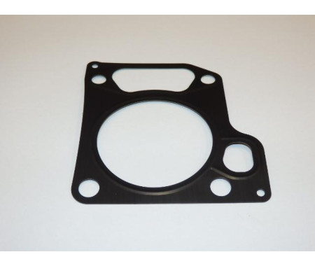 Gasket cylinder head