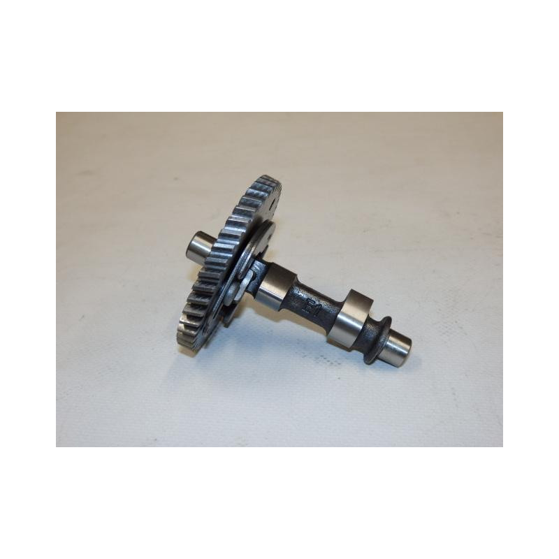 Camshaft assy