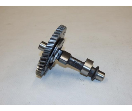 Camshaft assy