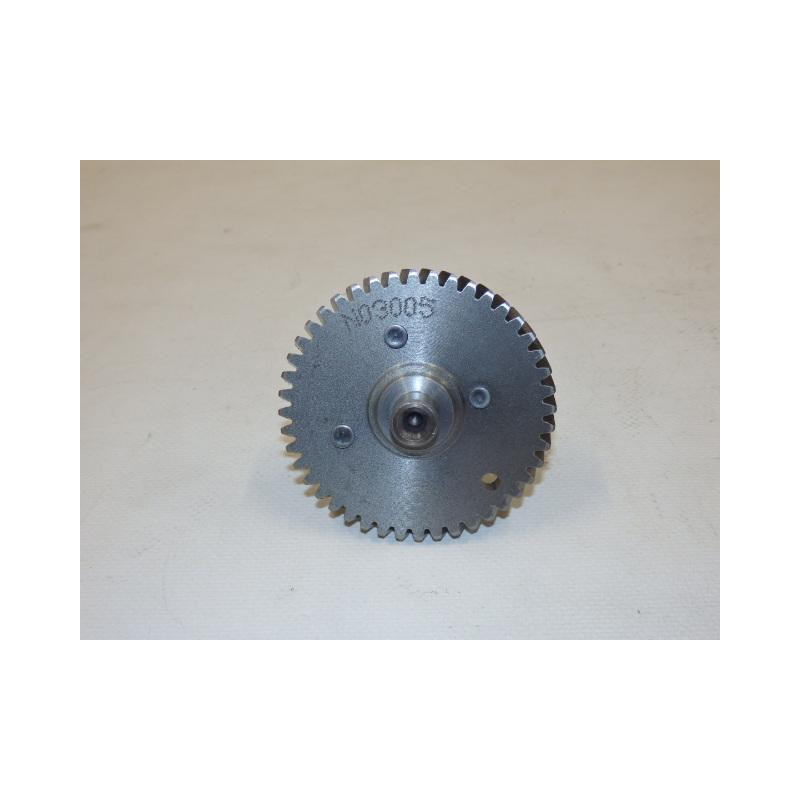 Camshaft assy