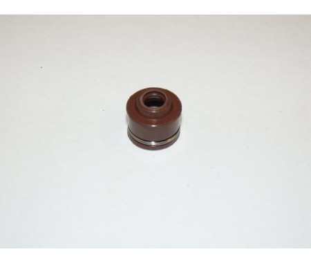 Guide seal