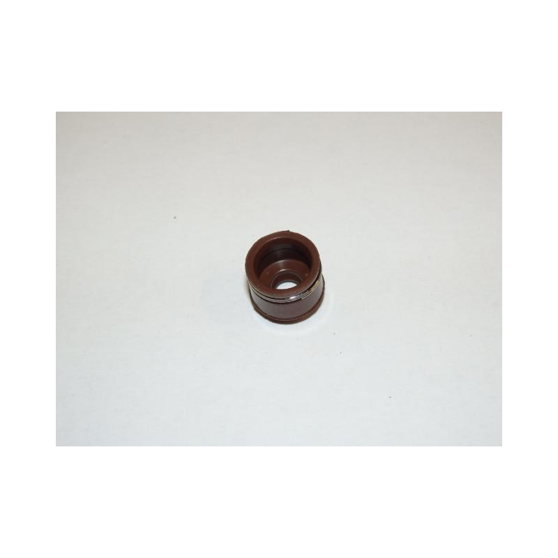 Guide seal